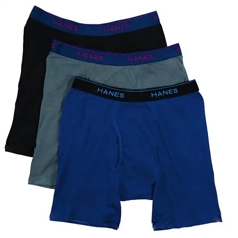 TRUNK2.webp